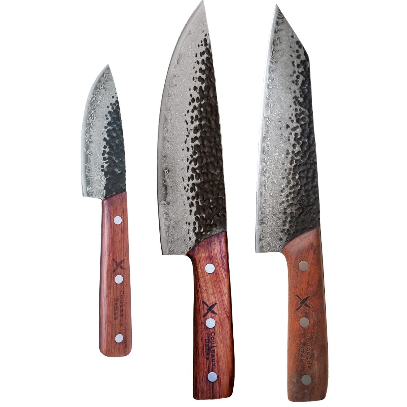 Ensemble de deux couteaux japonais de chef en acier de Damas